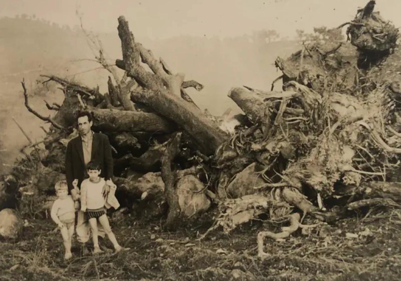 La famille Gueyraud devant les souches arrachées lors du défrichement, en 1964