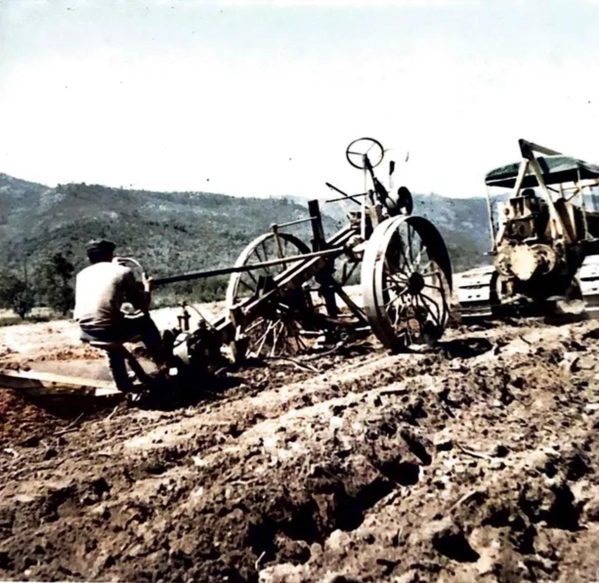 Un tracteur laboure la terre défrichée avant les premières plantations