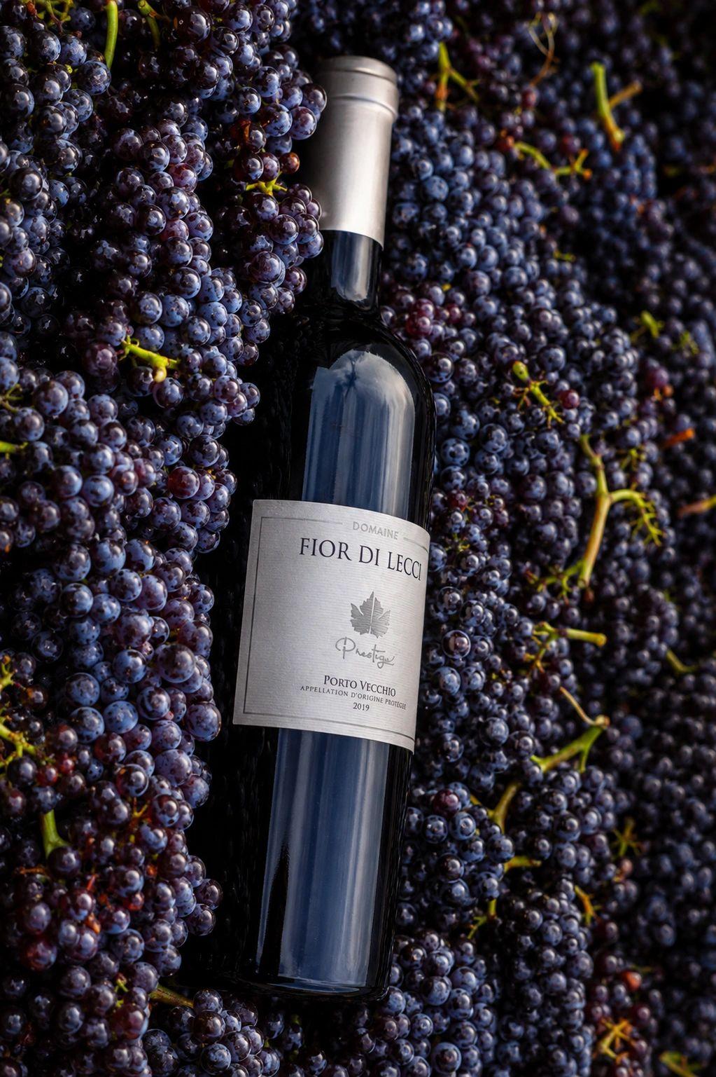 Une bouteille du domaine posée sur des grappes de raisin noir